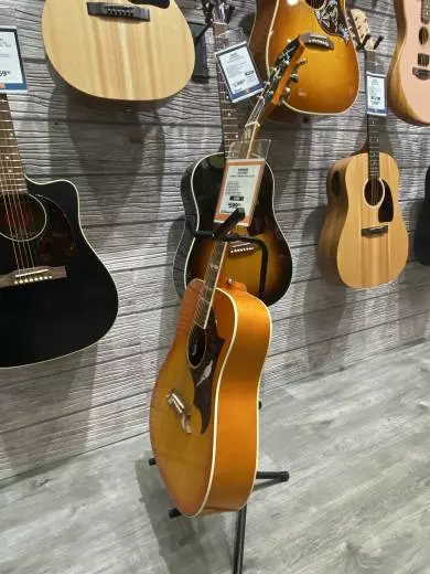 Epiphone - EEDVVBNH 2